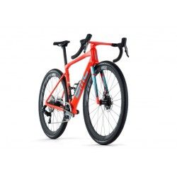 Kaius 01 LTD Peacock Spider