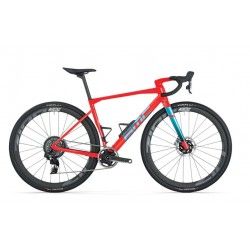 Kaius 01 LTD Peacock Spider