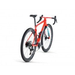 Kaius 01 LTD Peacock Spider