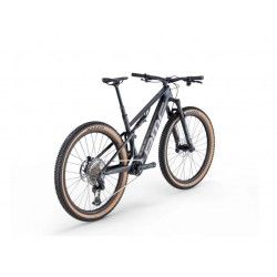 Fourstroke AMP LT ONE