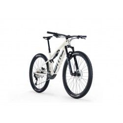 Fourstroke AMP LT TWO