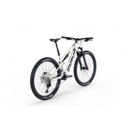 Fourstroke AMP LT TWO