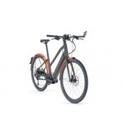 257 AMP AL SPEED ONE ST