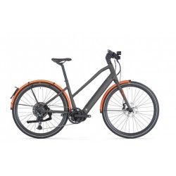 257 AMP AL SPEED ONE ST